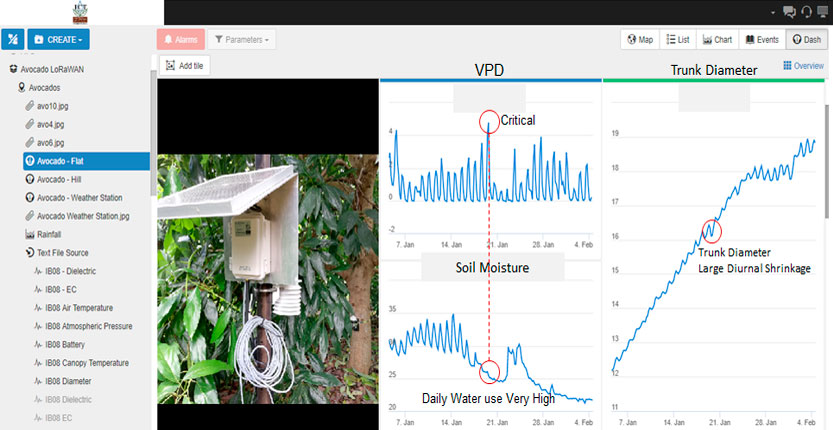 You are currently viewing Estudio de caso de monitoreo de cultivos IOT en Paltos